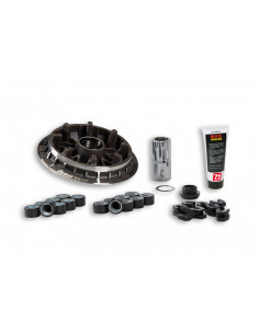 Malossi Variateur- Multivar...