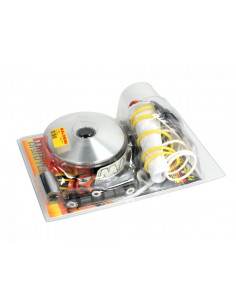 Variateur Malossi SH/Forza...