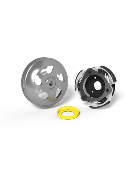 Kit Embrayage Malossi Maxi Delta Clutch - HONDA Forza 125