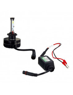 Ampoules Led H1 Myra